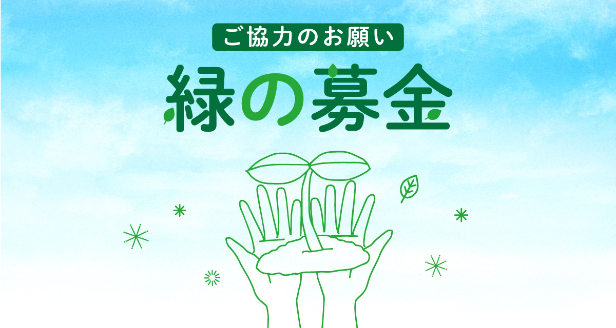 緑の募金