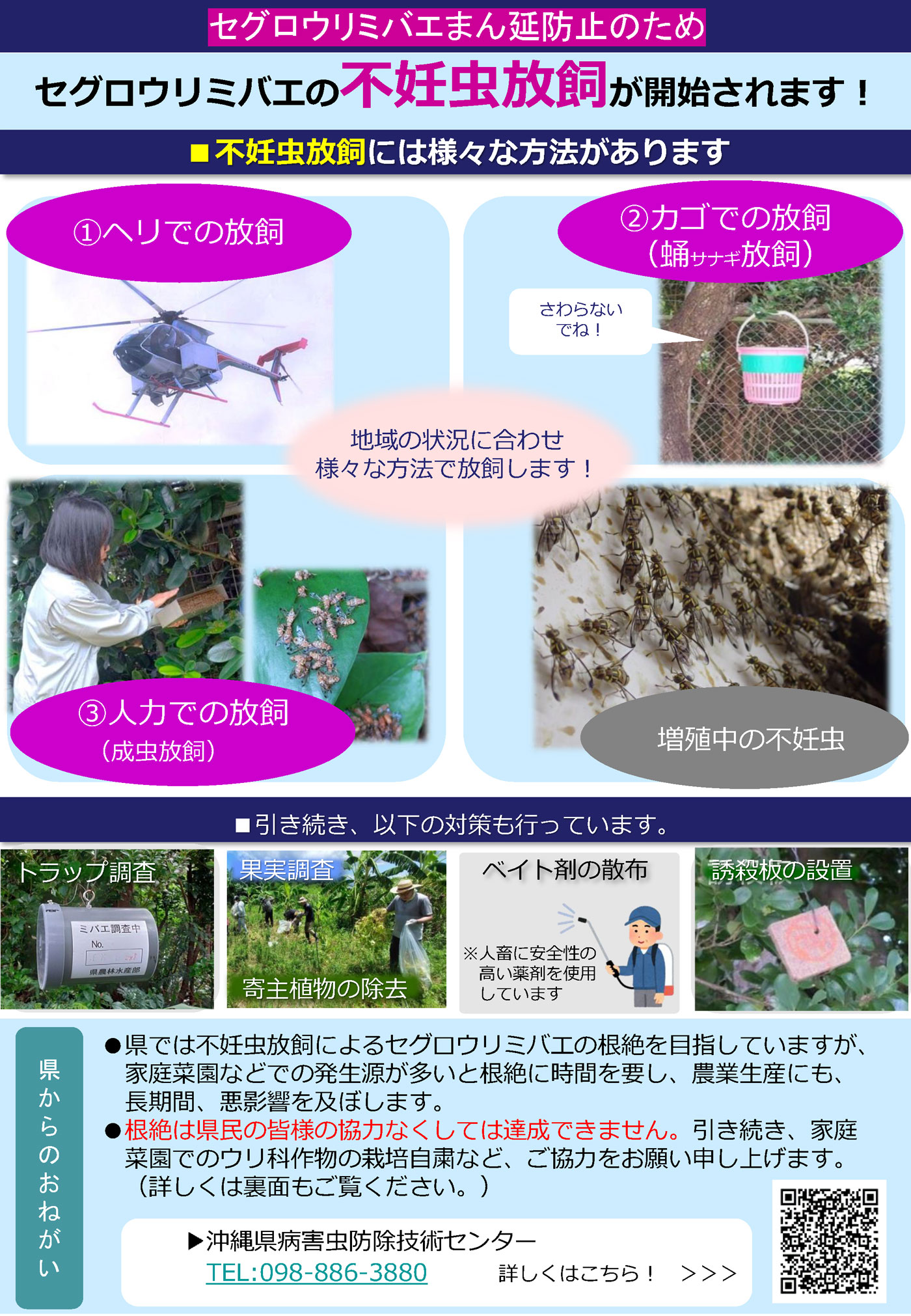 不妊虫放飼が開始されます