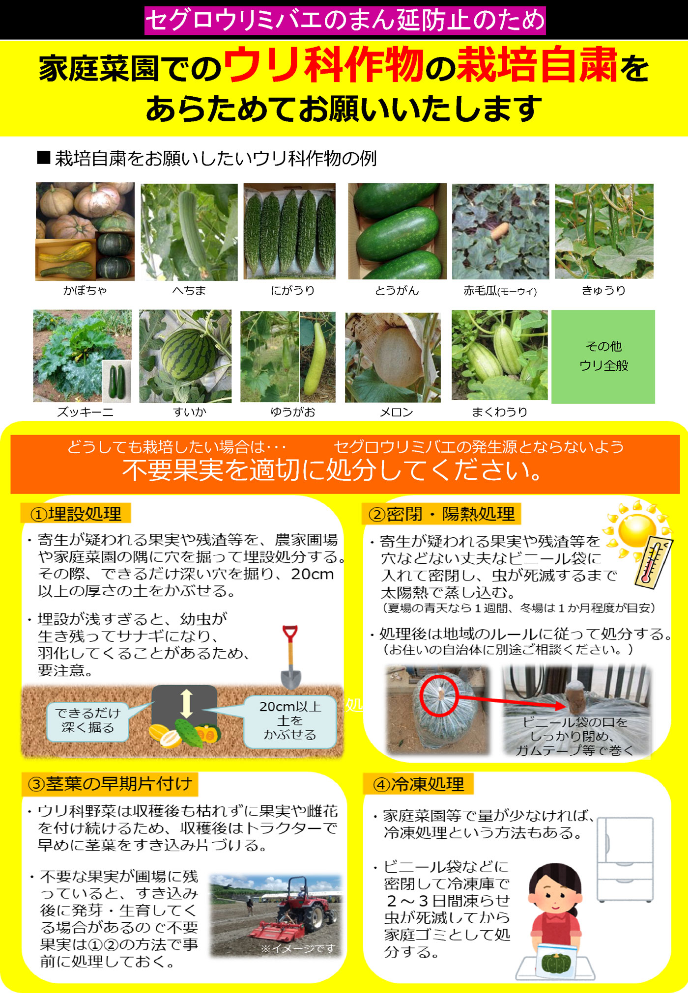 家庭菜園でのウリ科作物の栽培自粛を