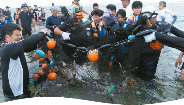 追い込み漁