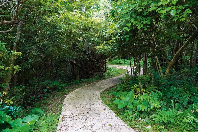 大里城趾公園 パークゴルフ場 展望台