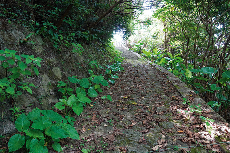 ウザファビラ遊歩道