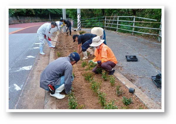 さしき健走会 新里坂沿いを花植え （10月30日）