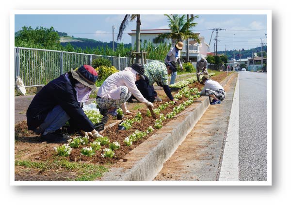 なんじょう市民大学 国道沿いを花植え （10月2日）