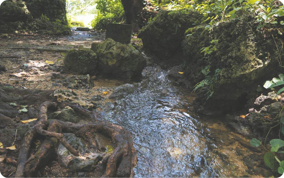 受水・走水
