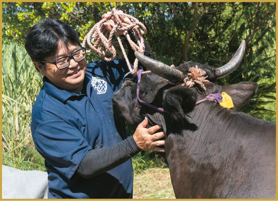 まごころビーフ