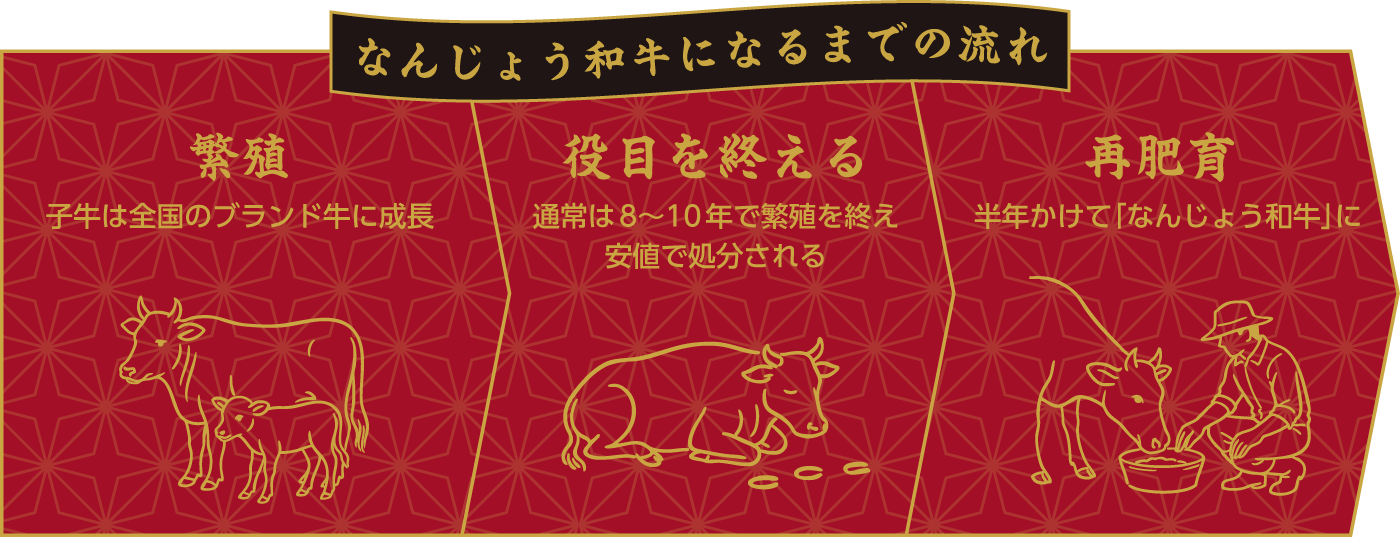 なんじょう和牛になるまでの流れ