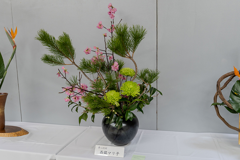 南城市総合文化展が開幕。多彩な作品が勢揃い（2025/01/24）