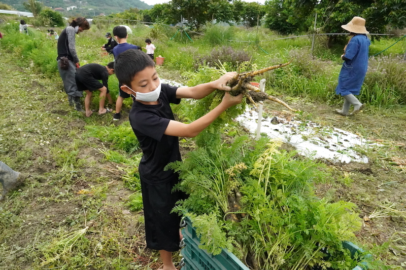 中山区 コミュニティ農園で野菜の収穫祭（2021/04/03）