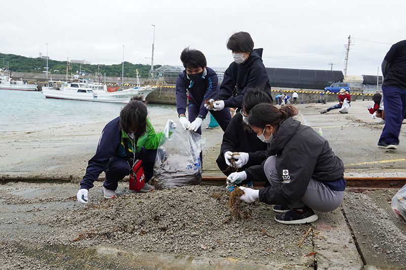 青年たちが奥武島で軽石除去作業（2021/11/14）