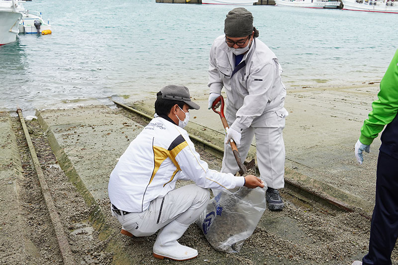 青年たちが奥武島で軽石除去作業（2021/11/14）