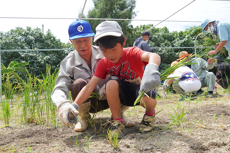 稲刈り体験で『農福連携』。子ども達が交流を楽しむ（2022/07/30）