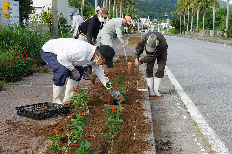 3団体が花植えボランティア。ランナーを花で迎える（2022/10/01、10/02）