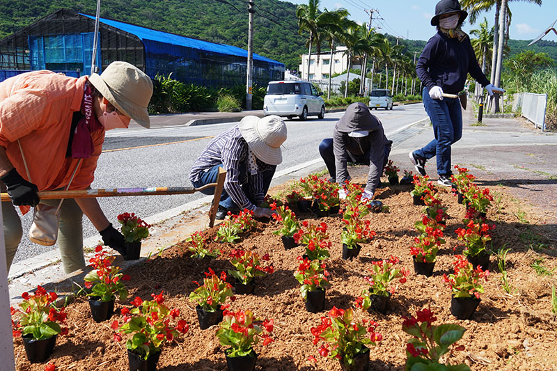 3団体が花植えボランティア。ランナーを花で迎える（2022/10/01、10/02）