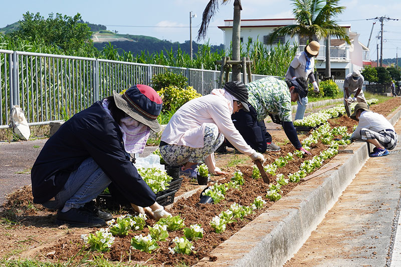 3団体が花植えボランティア。ランナーを花で迎える（2022/10/01、10/02）