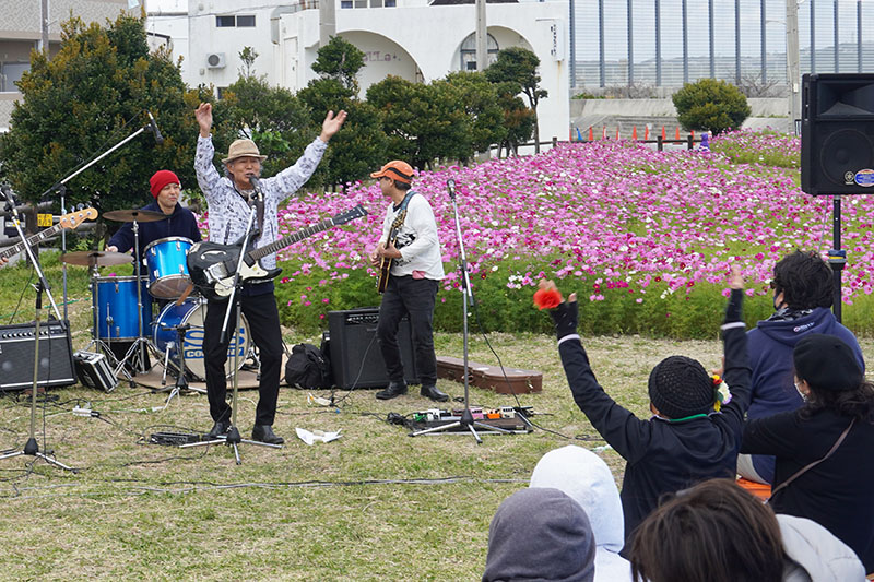 コスモス満開の広場で『つはこ花咲かす会』が初イベント（2023/02/26）
