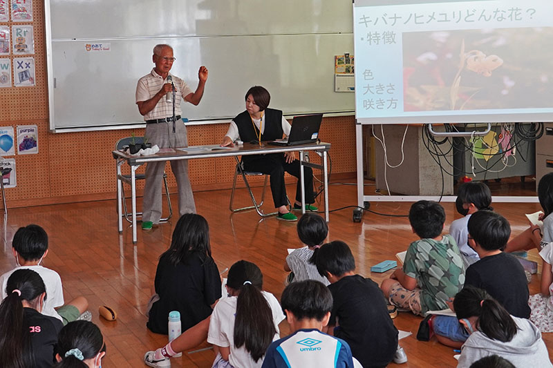 知念小でキバナノヒメユリの学習会（2023/06/16）