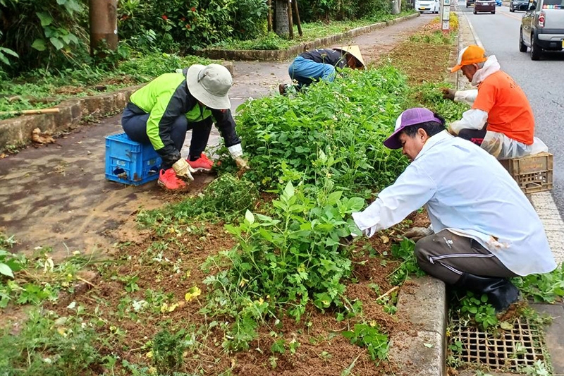 さしき健走会が正月へ向けて花壇の草取り（2023/12/30）