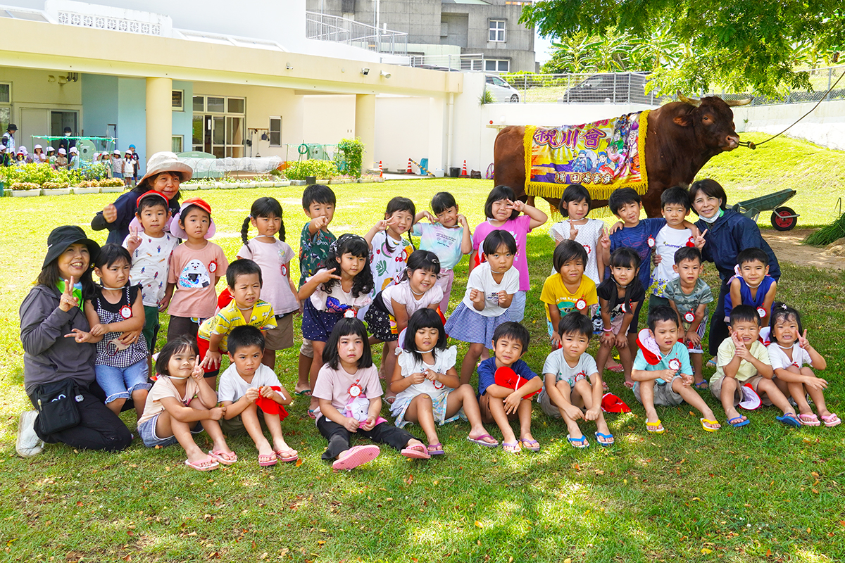 佐敷こども園に闘牛がやってきた（2024/06/26）