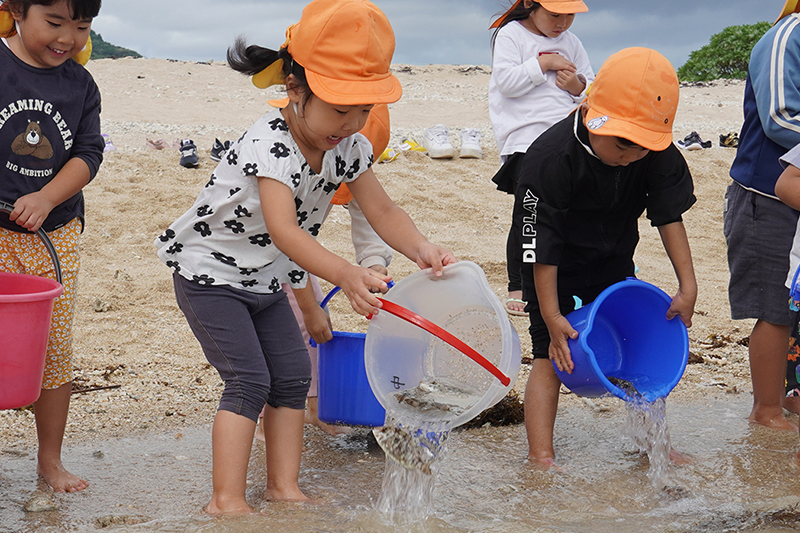 「大きくなってね」あざまサンサンビーチで園児が稚魚を放流（2024/11/25）