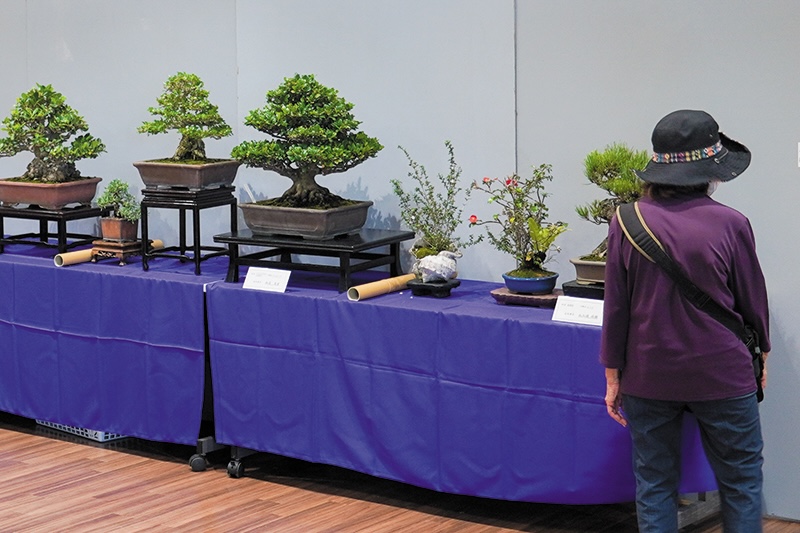 「第5回南城市まつり」8年ぶりのリアル開催で大盛況（2024/11/17）