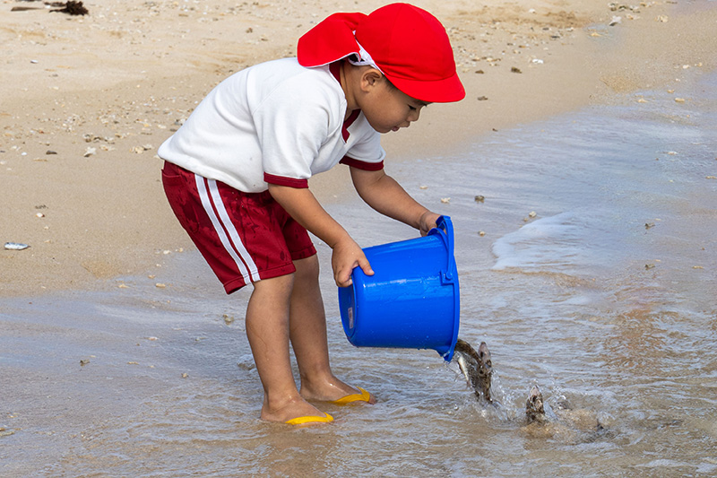 あざまサンサンビーチで園児が稚魚を放流 （2025/12/10）