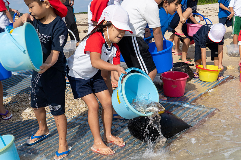 あざまサンサンビーチで園児が稚魚を放流 （2025/12/10）
