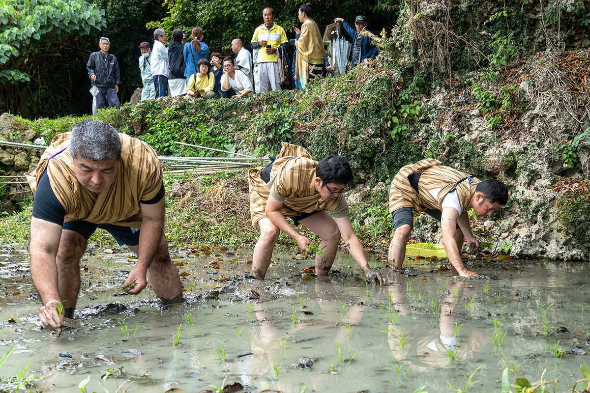 伝統祭祀と地域の風景を次世代へ。受水走水で「親田御願」 （2026/02/25）